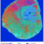 lc_sentinel_fogo_20200201.png